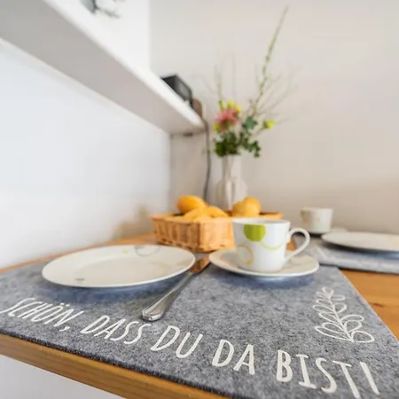 公寓式酒店 Haus Ferienglueck Sauna Im Haus