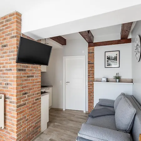 公寓式酒店 Haus Ferienglueck Sauna Im Haus